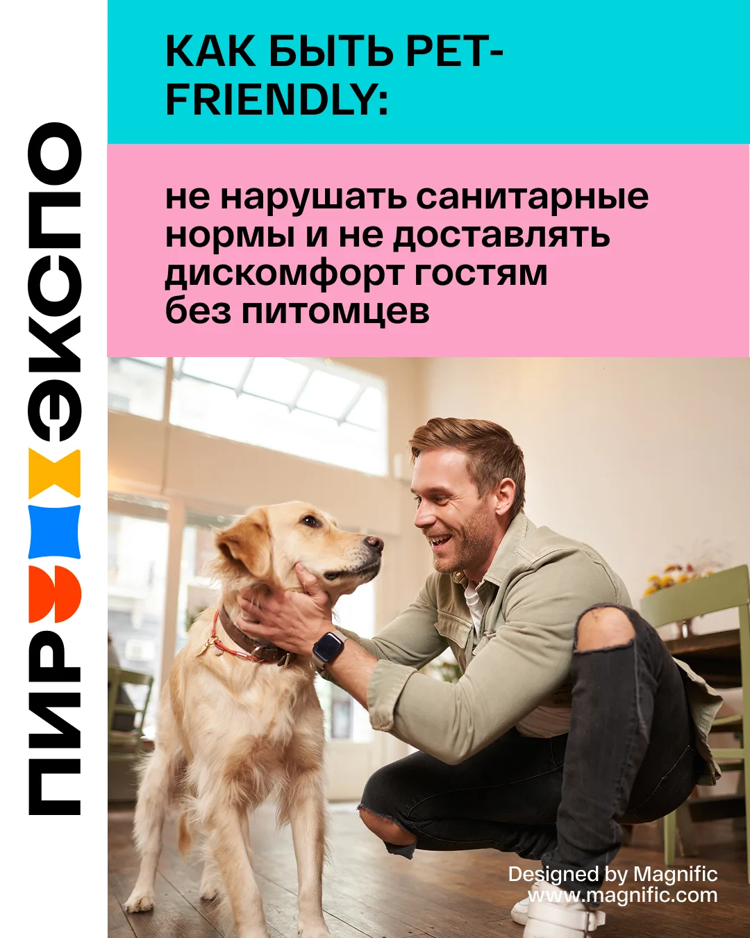 🐶🐱 Любимого четвероного друга-пушистика хочется брать с собой всегда и везде. Тем бол...