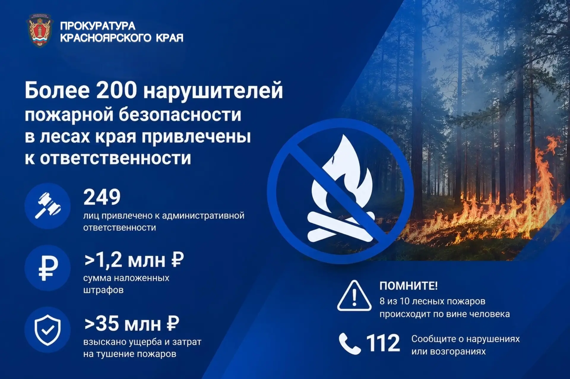 🔥 Лес не прощает беспечности: с начала сезона к ответственности привлечены уже 249 нар...