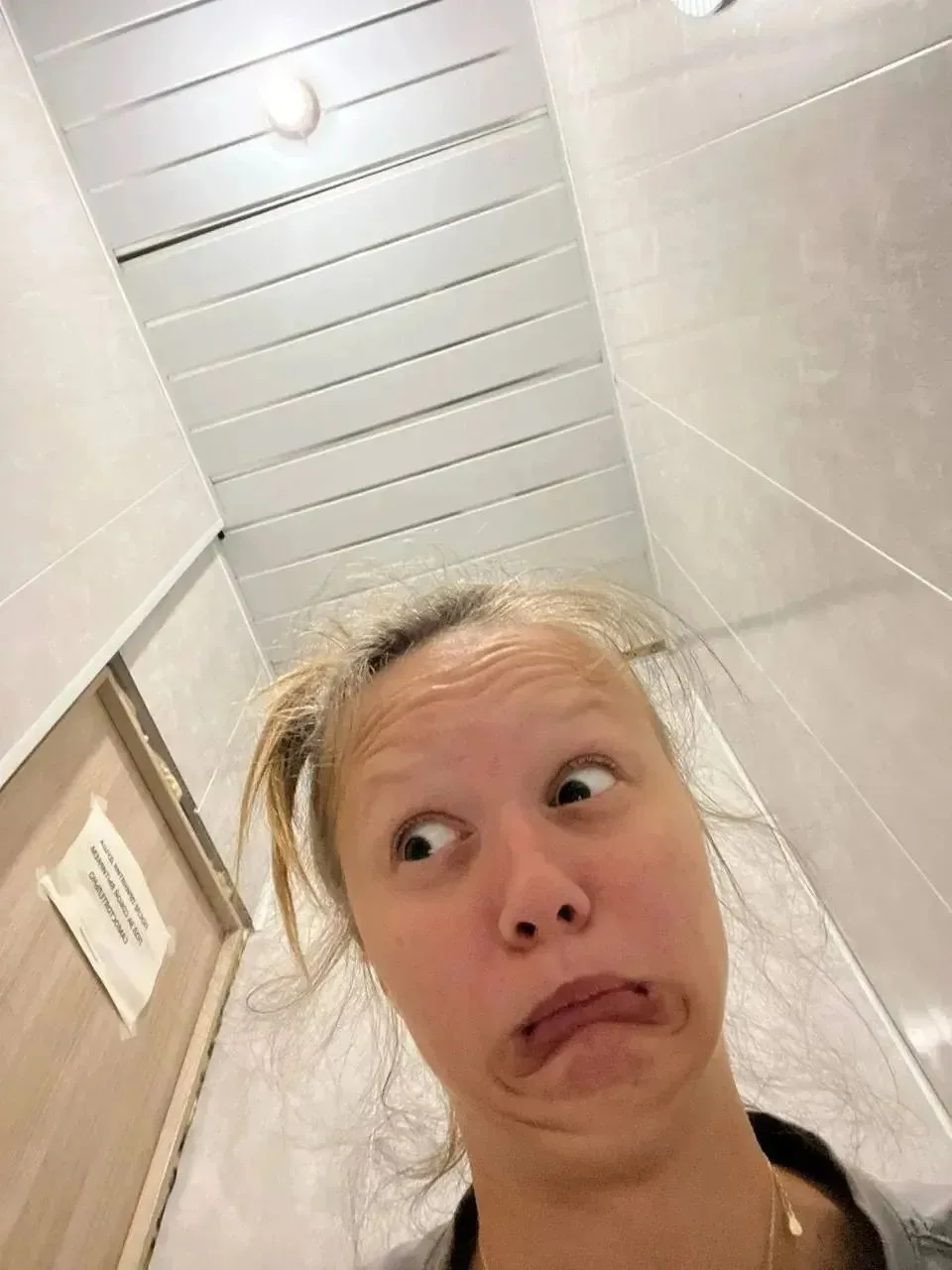 🪿🪿🪿
