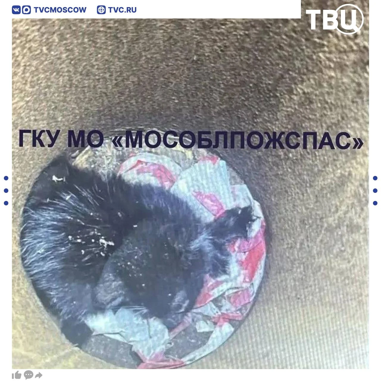 Котенок застрял в трубе мачты уличного освещения в Серебряных Прудах и два дня звал на ...
