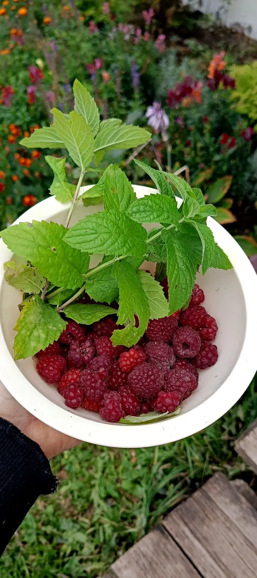 Вкуснота