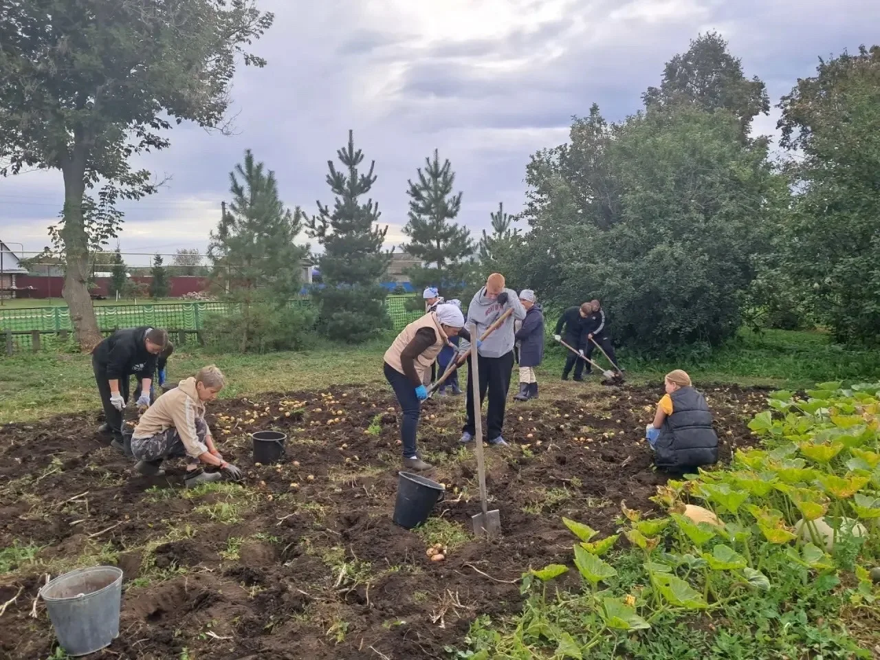 :Собрали урожай вместе! 💪🥕