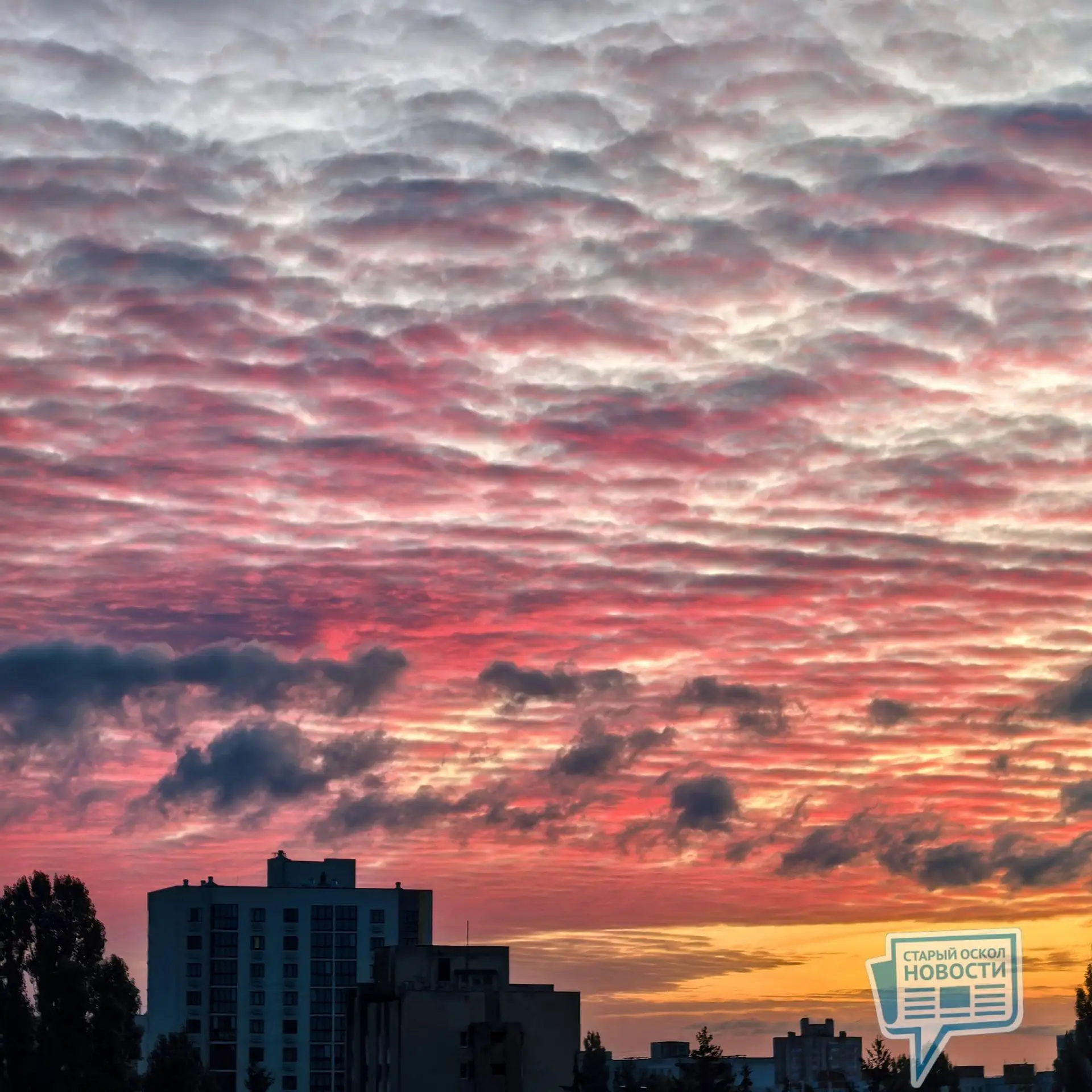 🌆 Малиновый рассвет