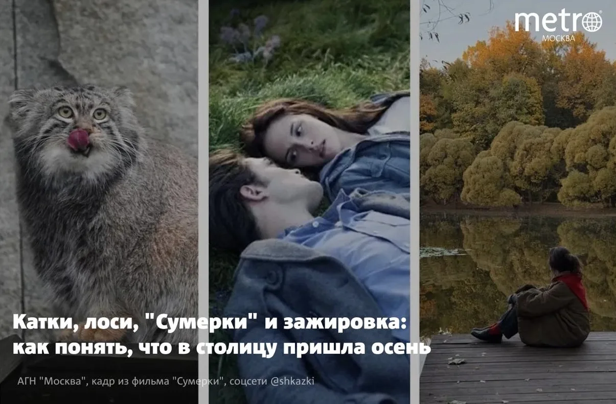 У каждого сезона в Москве свои верные приметы, хорошо знакомые жителям города. К наступ...