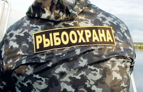 Браконьер из Усть-Большерецкого района ответил за незаконный лов нерки