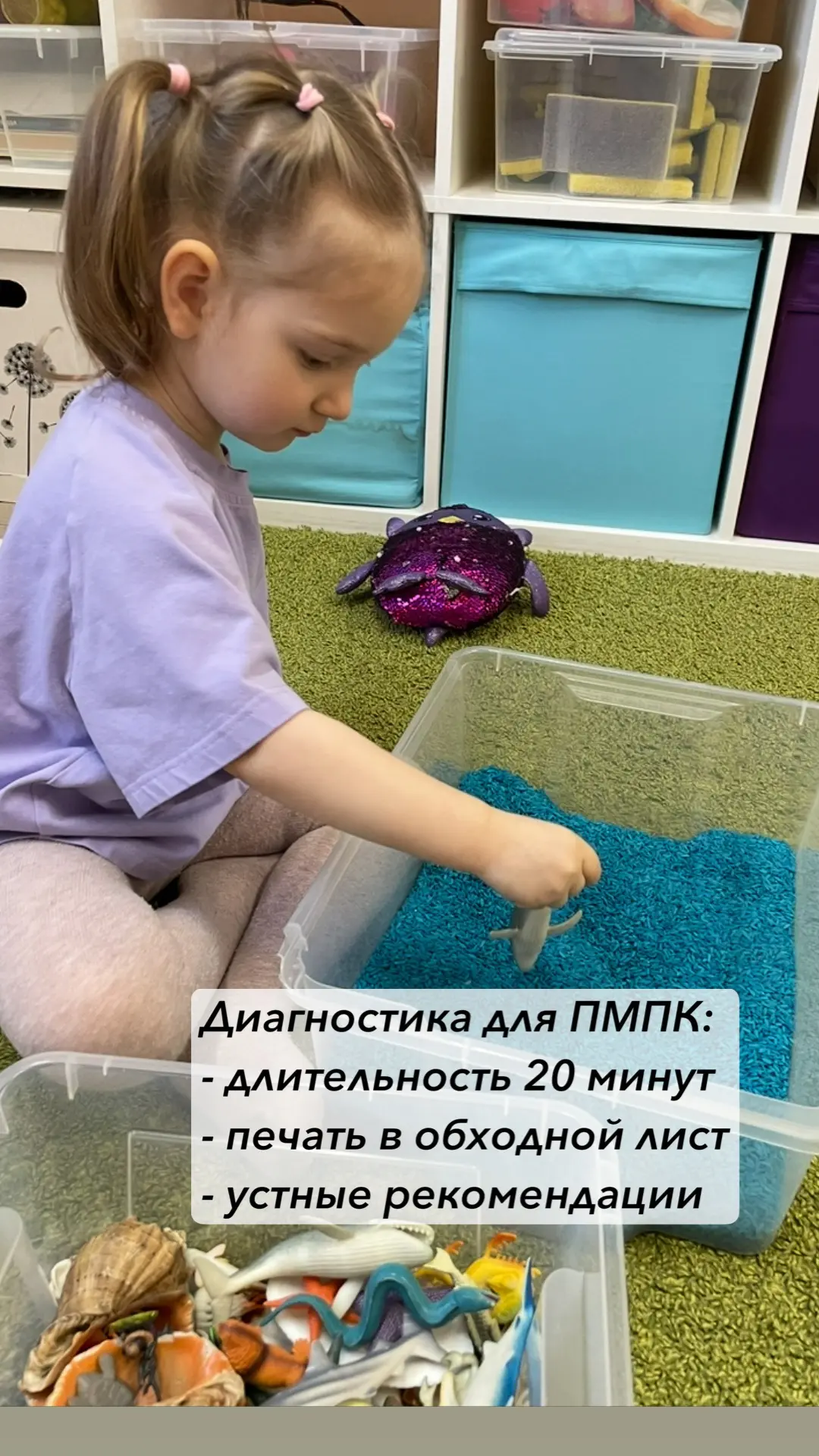 Логопедическая диагностика для ПМПК в центре «Совушки»