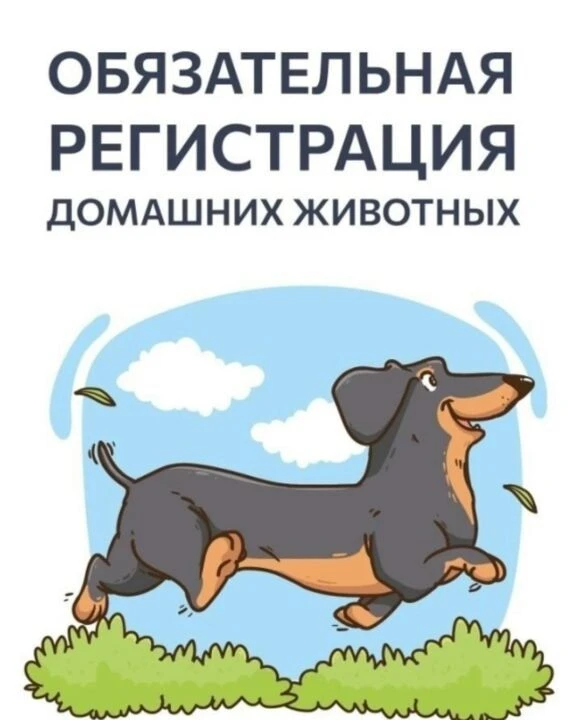Согласно постановлении правительства Республики Саха (Якутия) №237 «О Правилах содержан...