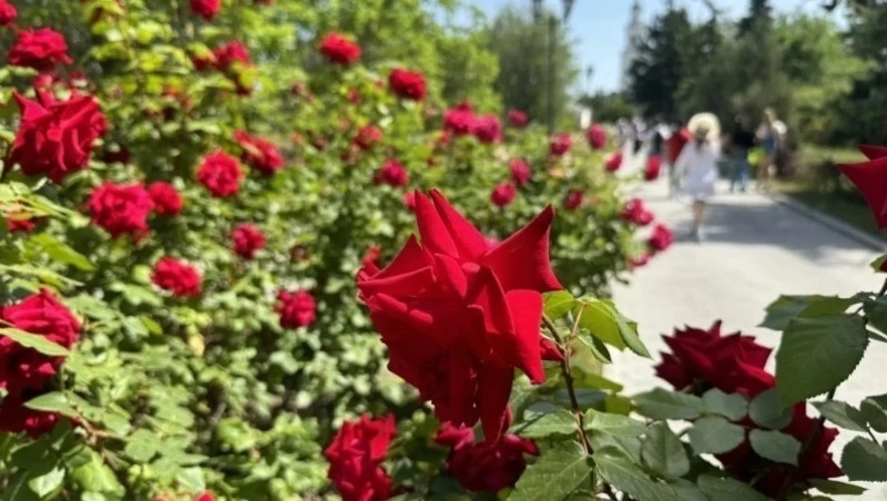 ☀️ 14 сентября в Астрахани будет жарко