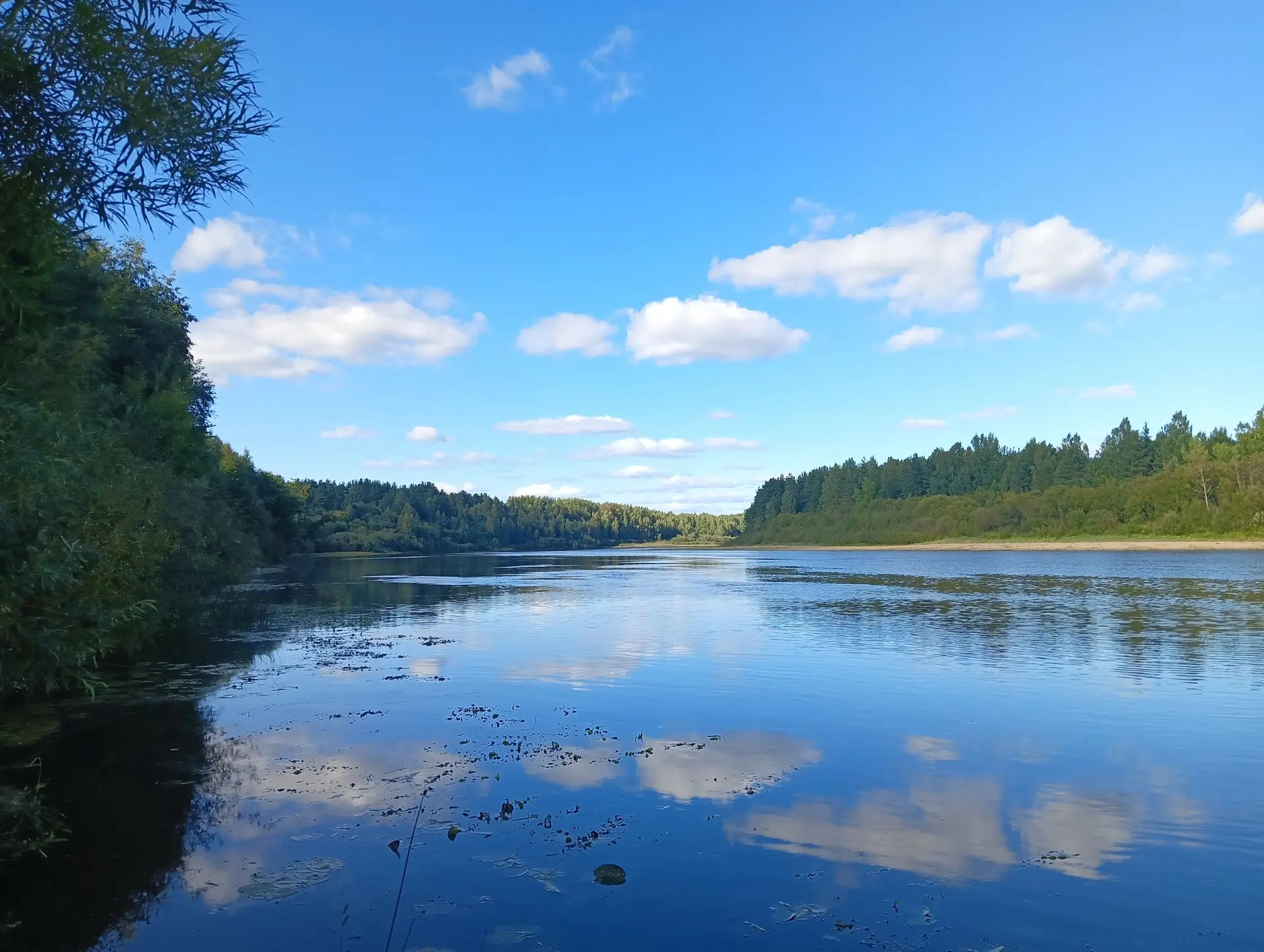 Что обычно привозят из поездок на море? 🌊