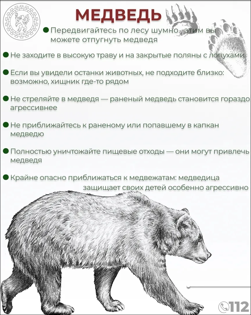 Изображение 1 к публикации «Кириши-Онлайн»