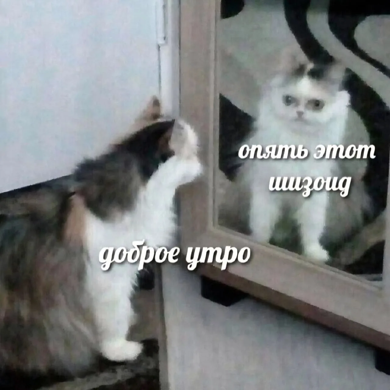 ☀️ Отличного дня!