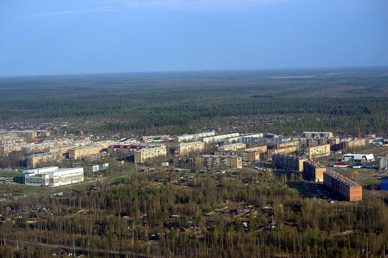 Мусорный протест с политической подоплекой: как Полшведкин в Нижний Одес съездил