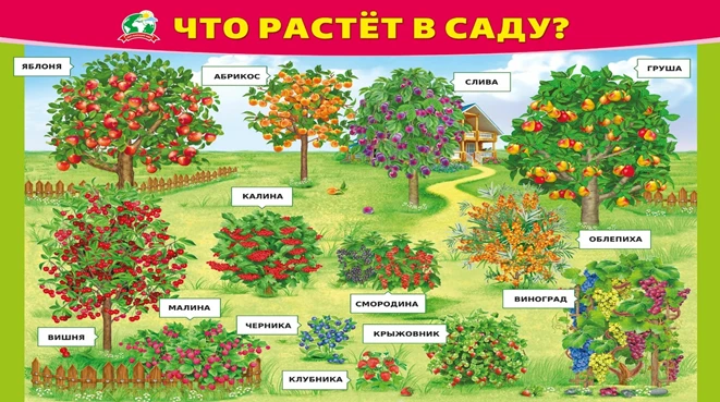 15 июля в библиотеке Ковровского дома-интерната для получателей социальных услуг состоялась познават