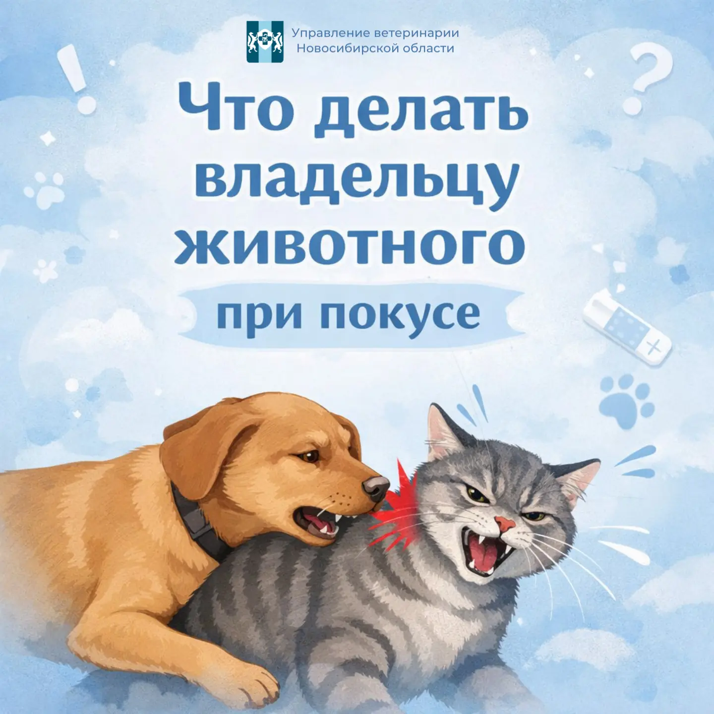 🐾 Что делать владельцу животного при покусе