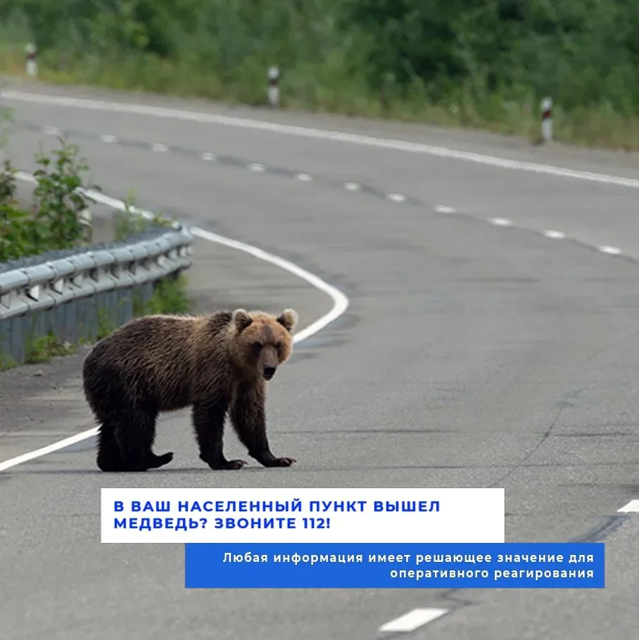 ❗️ ВНИМАНИЕ!