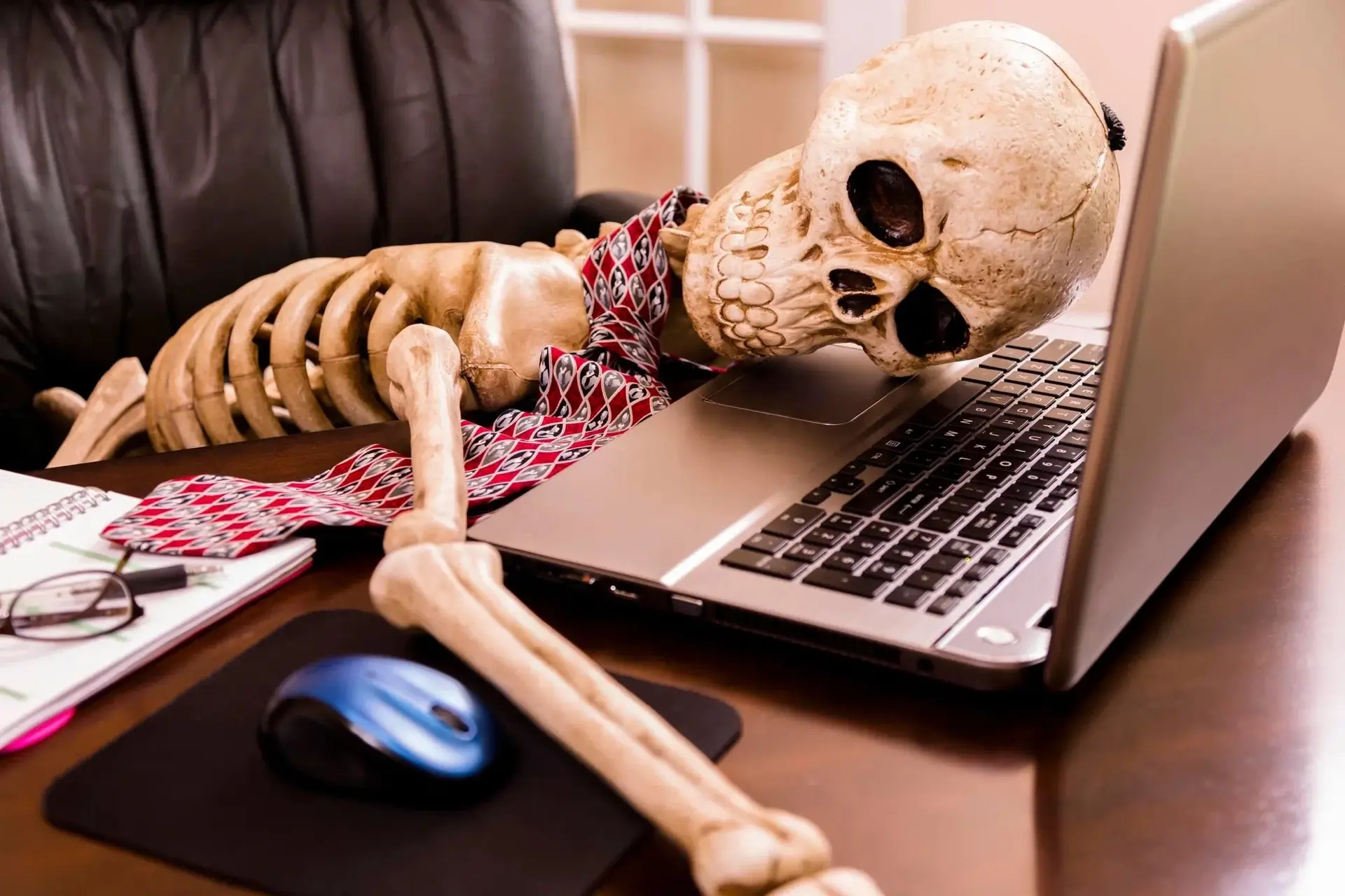 Мы работаем БЕЗ выходных!