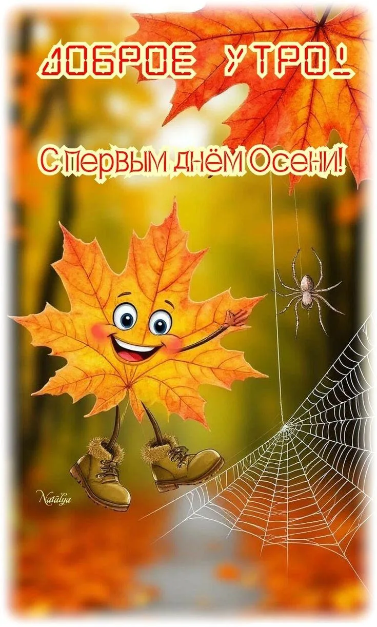 Доброе утро, мои дорогие! Совсем недавно мы радовались наступлению лета и вот наступила...