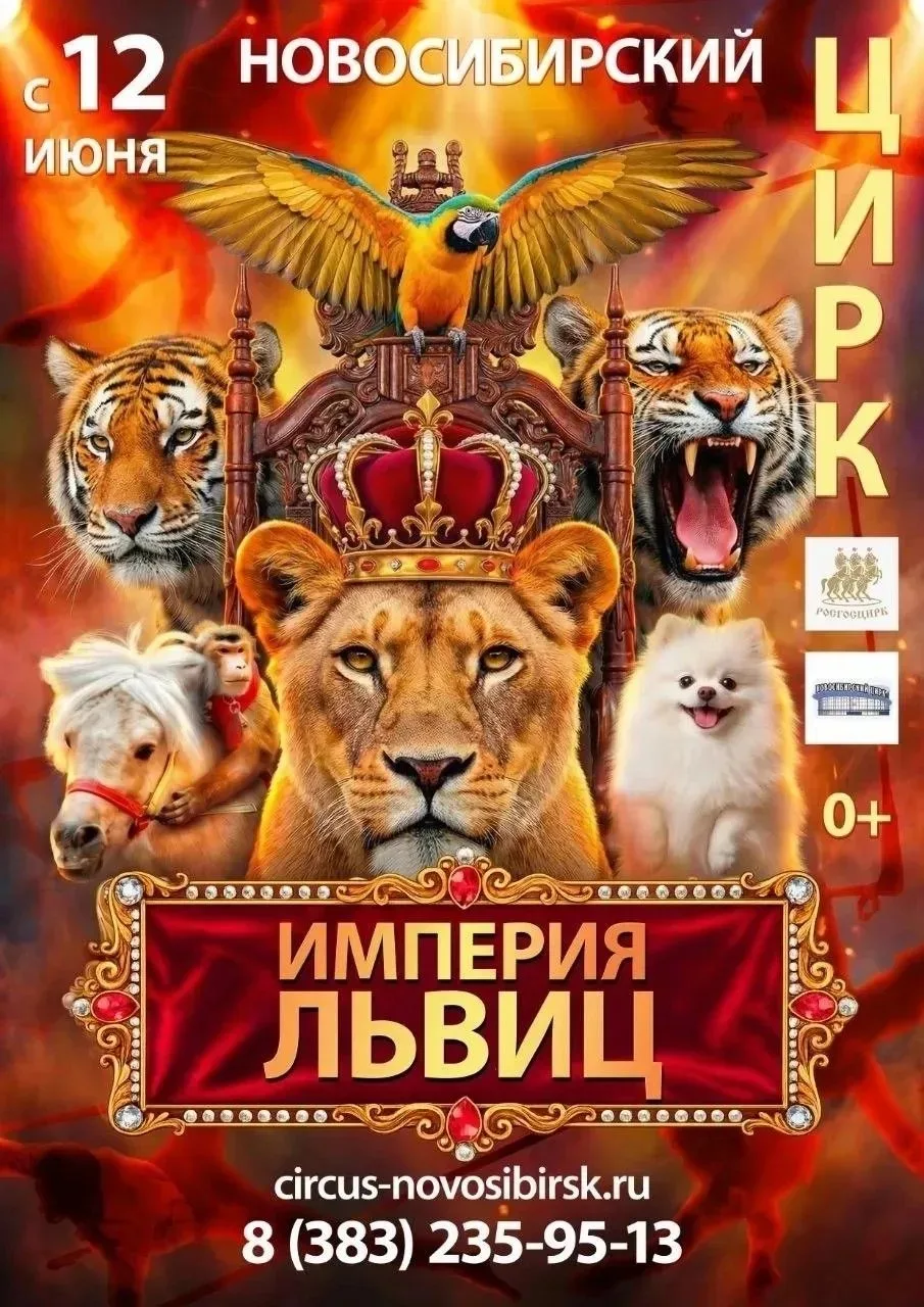 С 12 июня 2026 года в Новосибирском государственном цирке шоу «Империя львиц». Организатором шоу явл