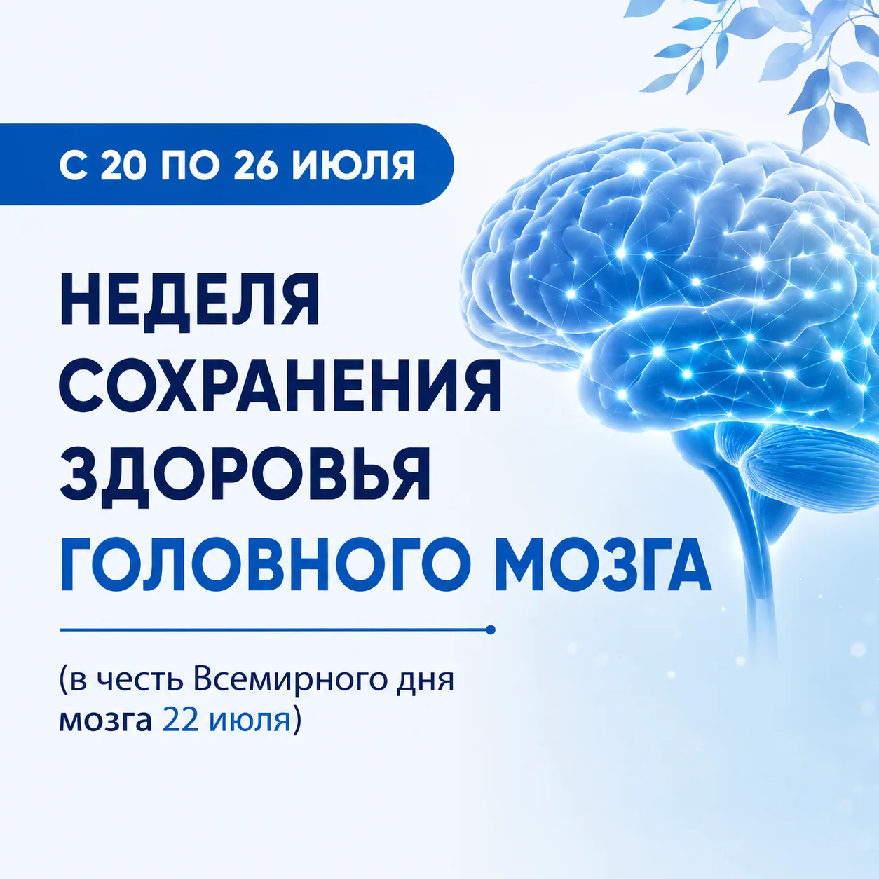 🧠 Головной мозг — главный «командный центр» нашего организма. От его здоровья зависят память, внима