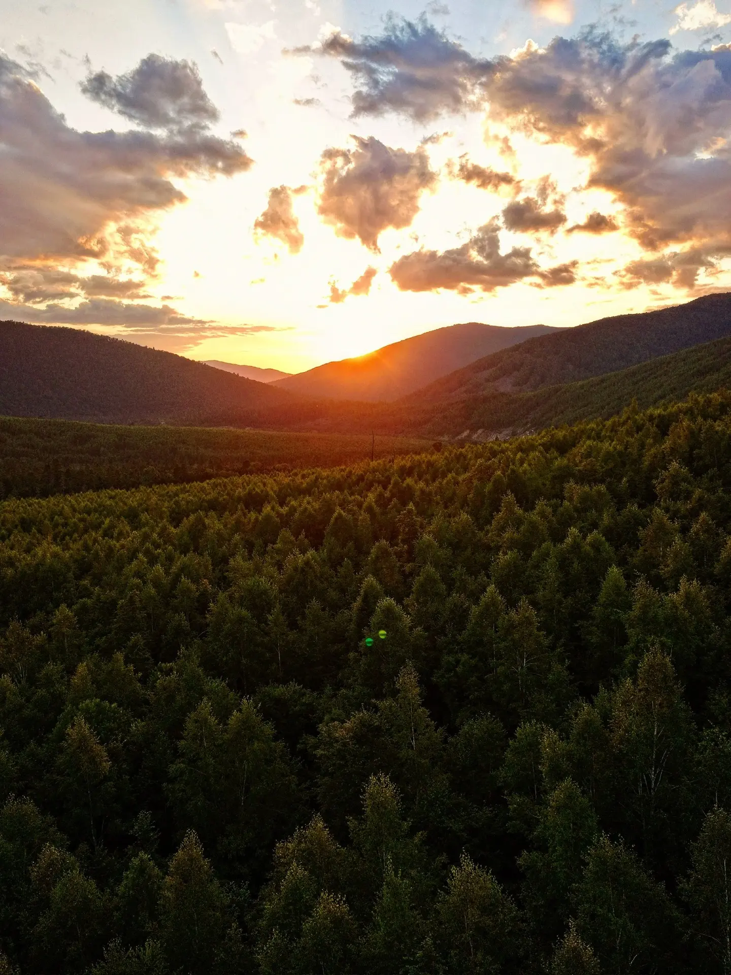 Самая красивая дорога на Дальнем Востоке 🌲