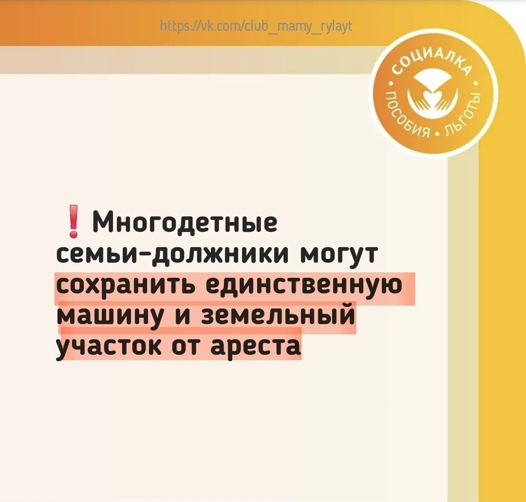 ❗️Многодетные семьи-должники могут сохранить единственную машину от ареста  С 3 апреля многодетные с