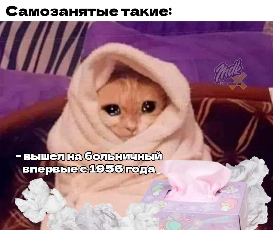 🤒 Самозанятым впервые начнут оплачивать больничные

Уже в августе первые выплаты по больничным пост