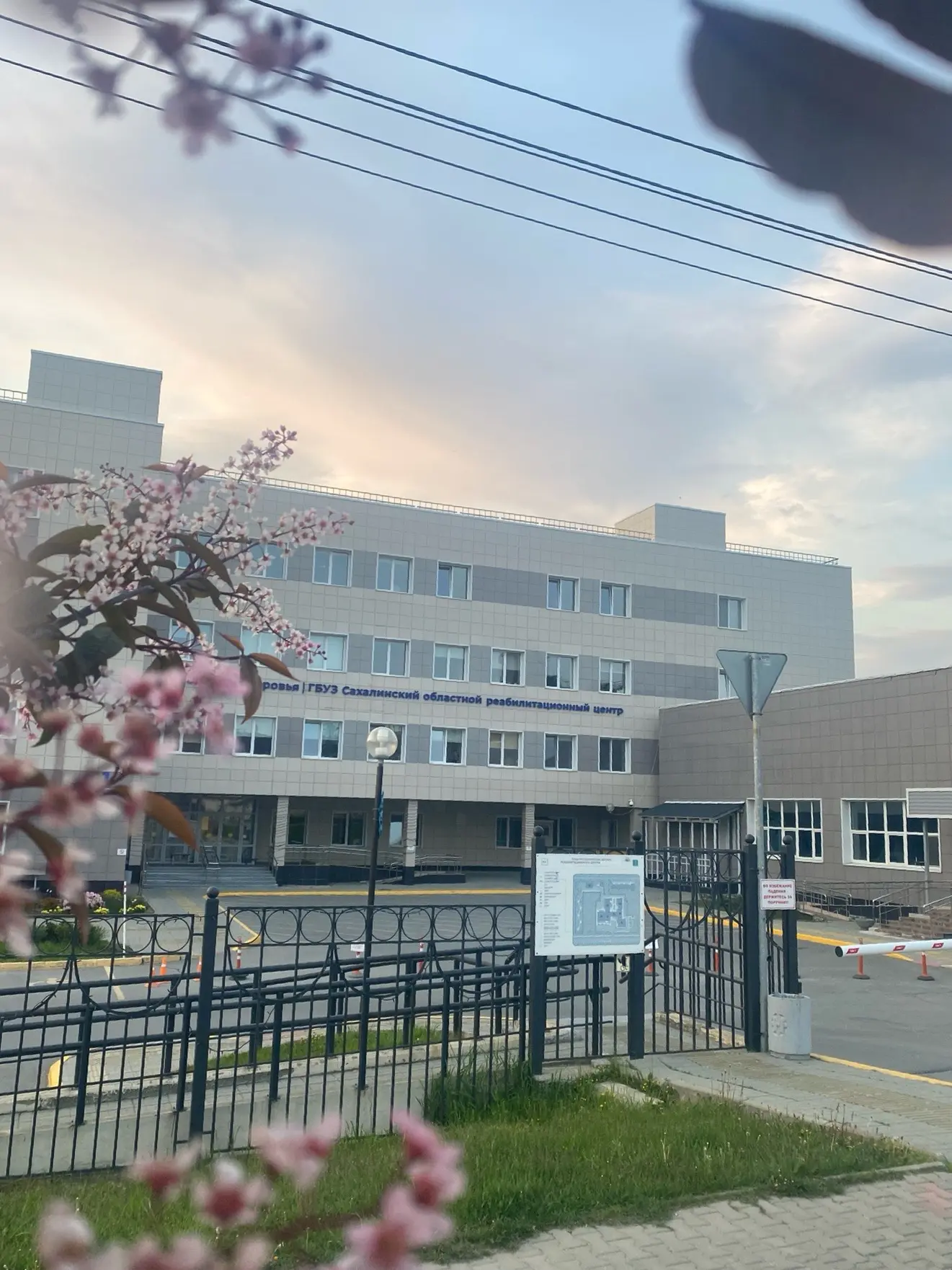 ☀️🌳Яркое, теплое, долгожданное — лето уверенно вступило в свои права в нашем реабилитационном центр
