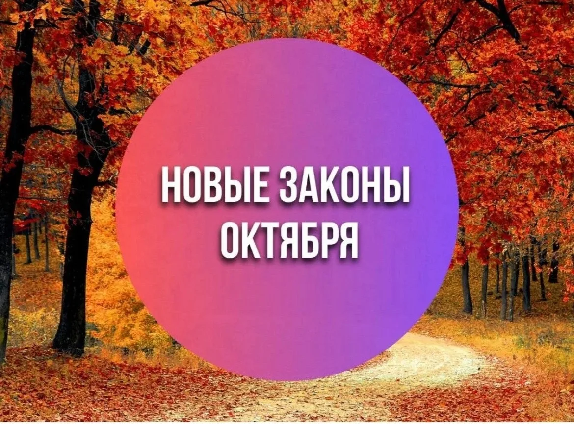 Новости на сон грядущий 🌠