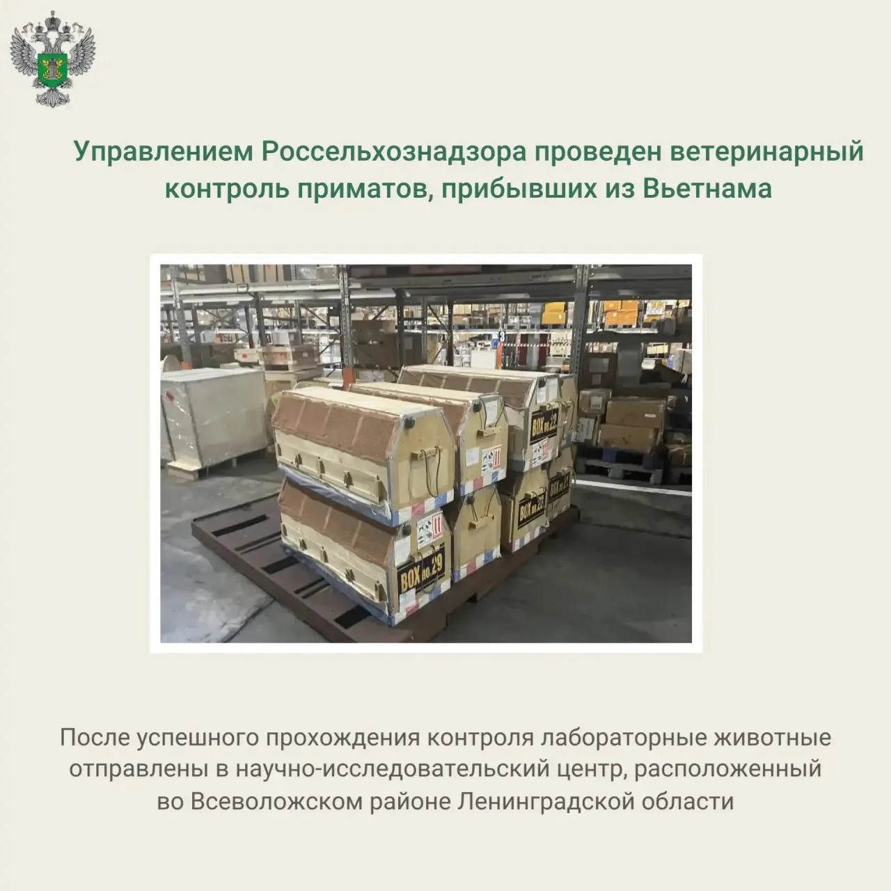 🔗 Подробнее на сайте