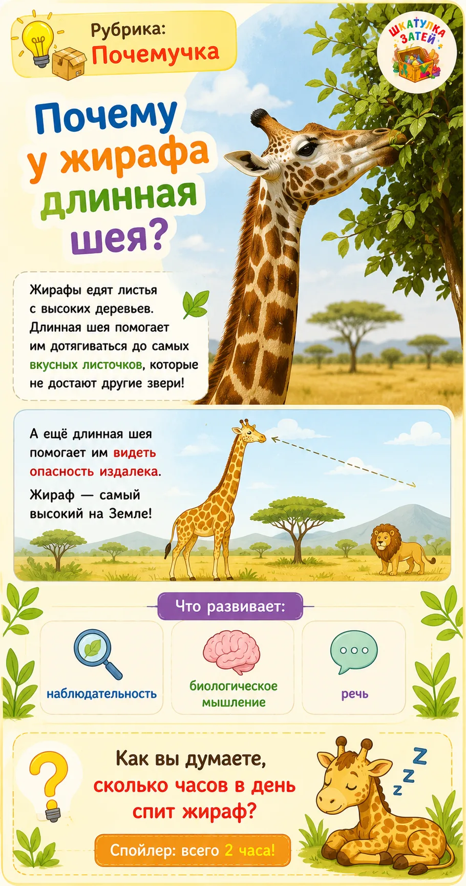 Рубрика ПОЧЕМУЧКА