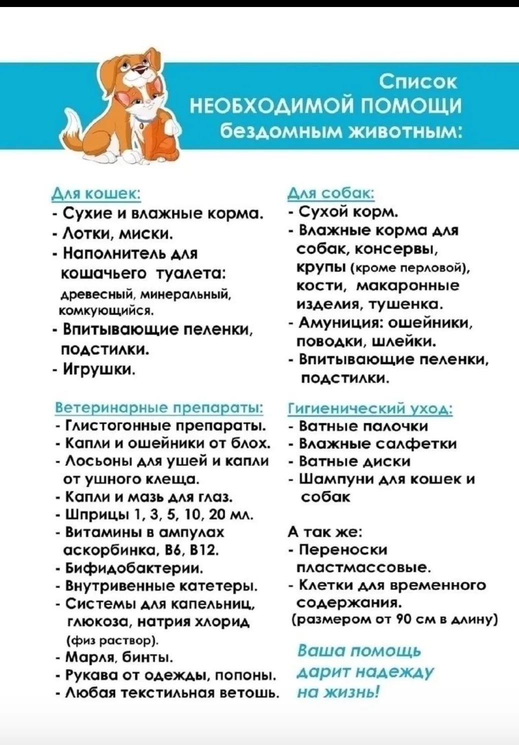Петрозаводчане организовали точку сбора для приютов в своем благотворительном магазине ...