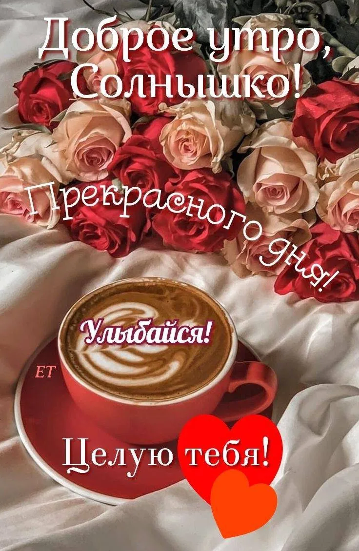 Изображение 1 к публикации «Галерея Открыток»