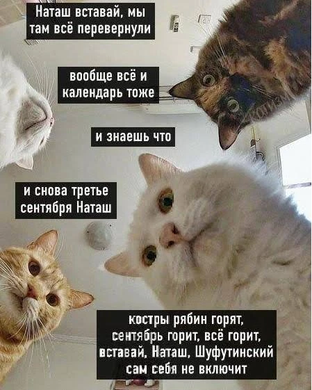 Ну, с третьим сентября! 🎉