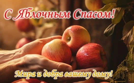 Дорогие жители Бондарского муниципального округа!