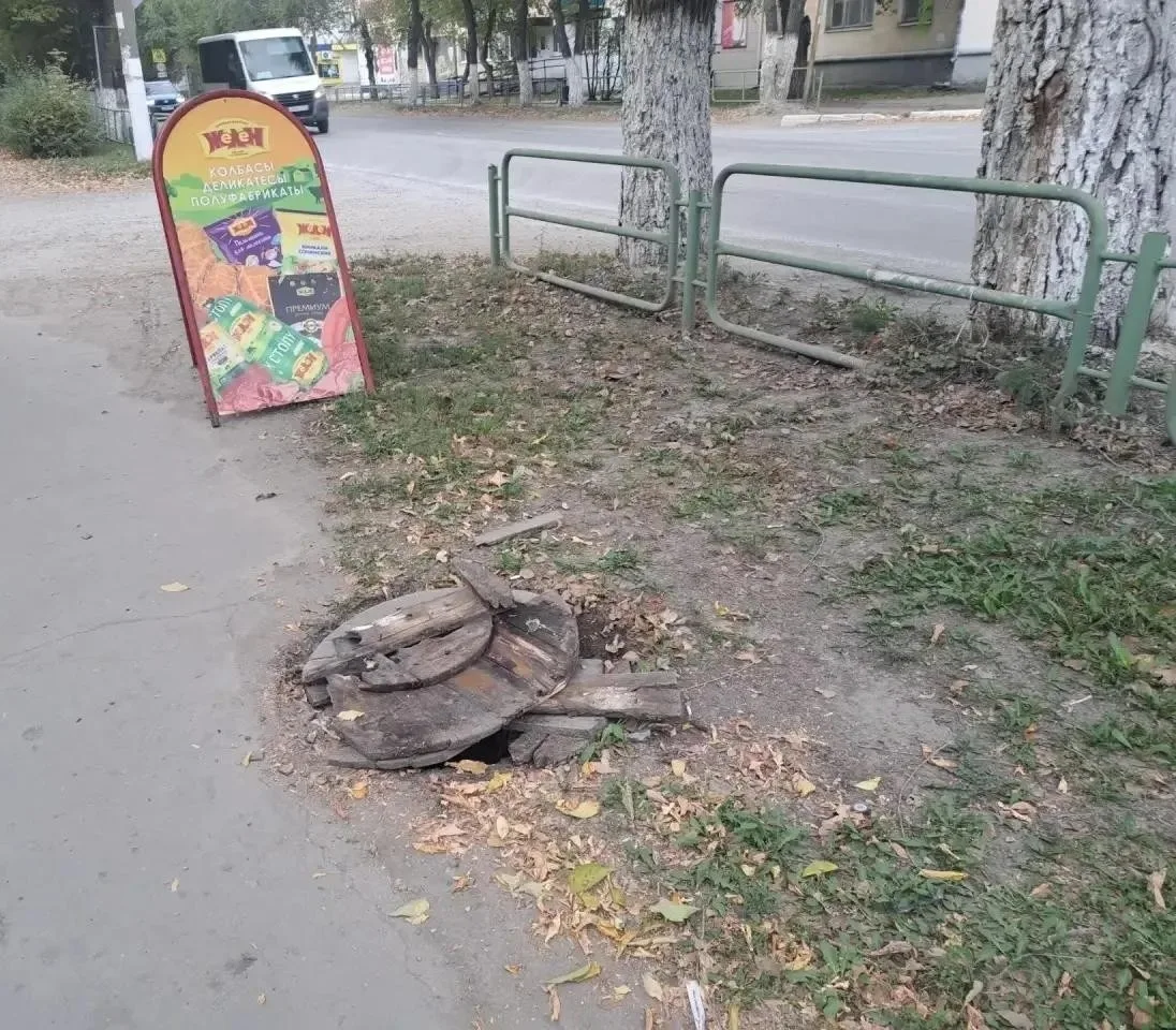 Просто гуляли и просто увидели…