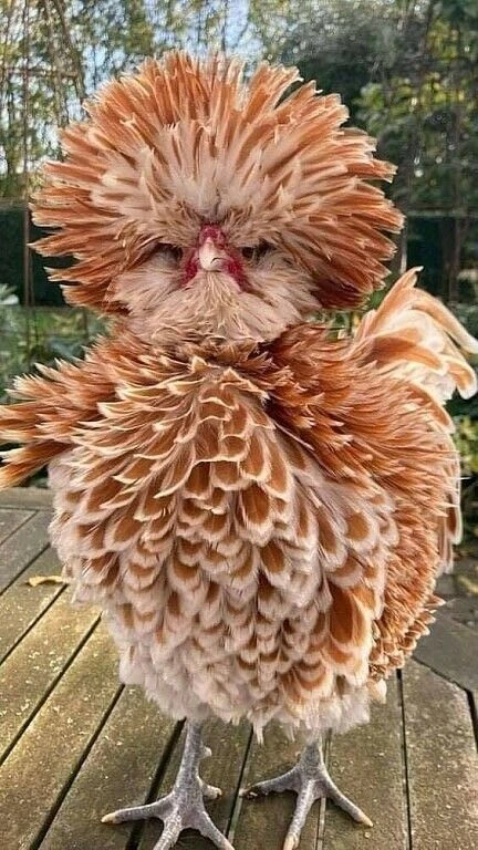 Ух, какая 😍