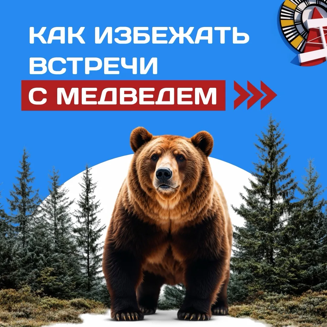 Уважаемые горожане! Советы в наших карточках помогут вам сохранить жизнь при встрече с ...