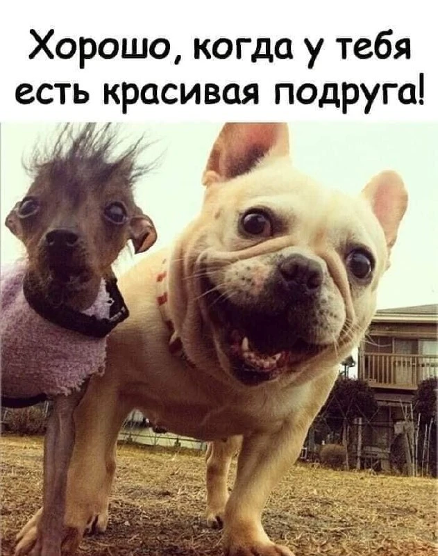 👉 👈