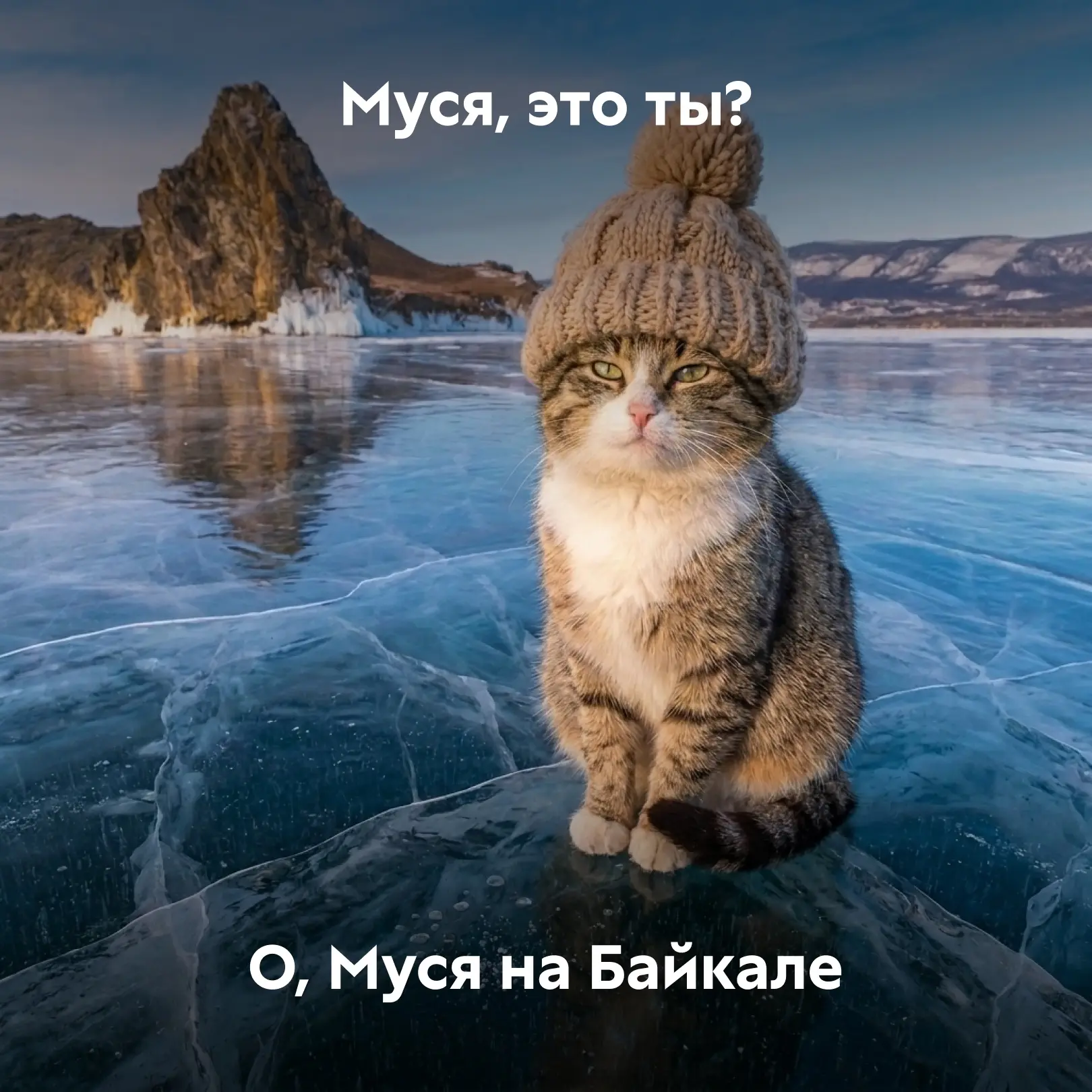 Помогите найти Мусю  Потому что мы не успеваем за ней следить! То она участвует в грантовом конкурсе