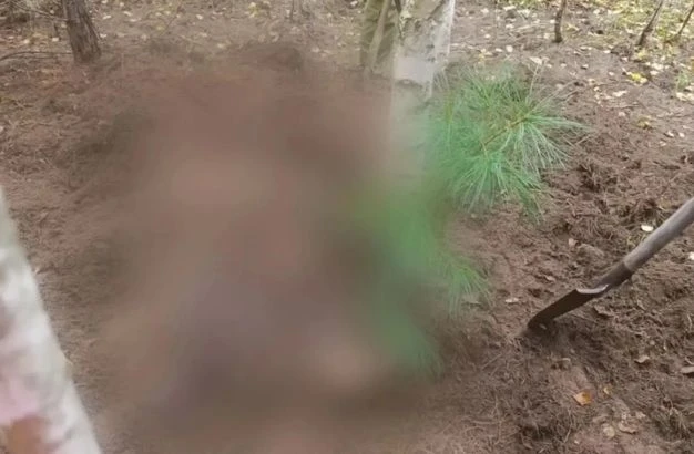 Разодрал и прикопал. В СК рассказали подробности об убийстве женщин медведем
