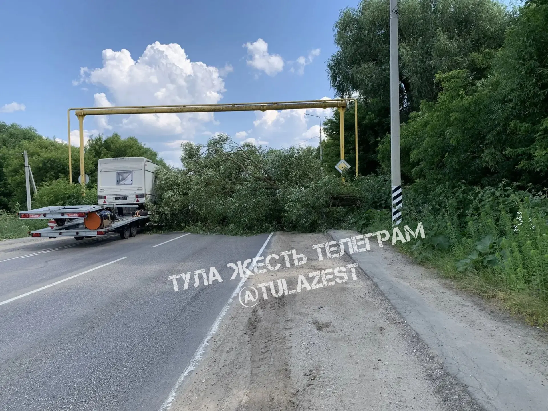 ❗️На Чмутова упало дерево, оборвав провода