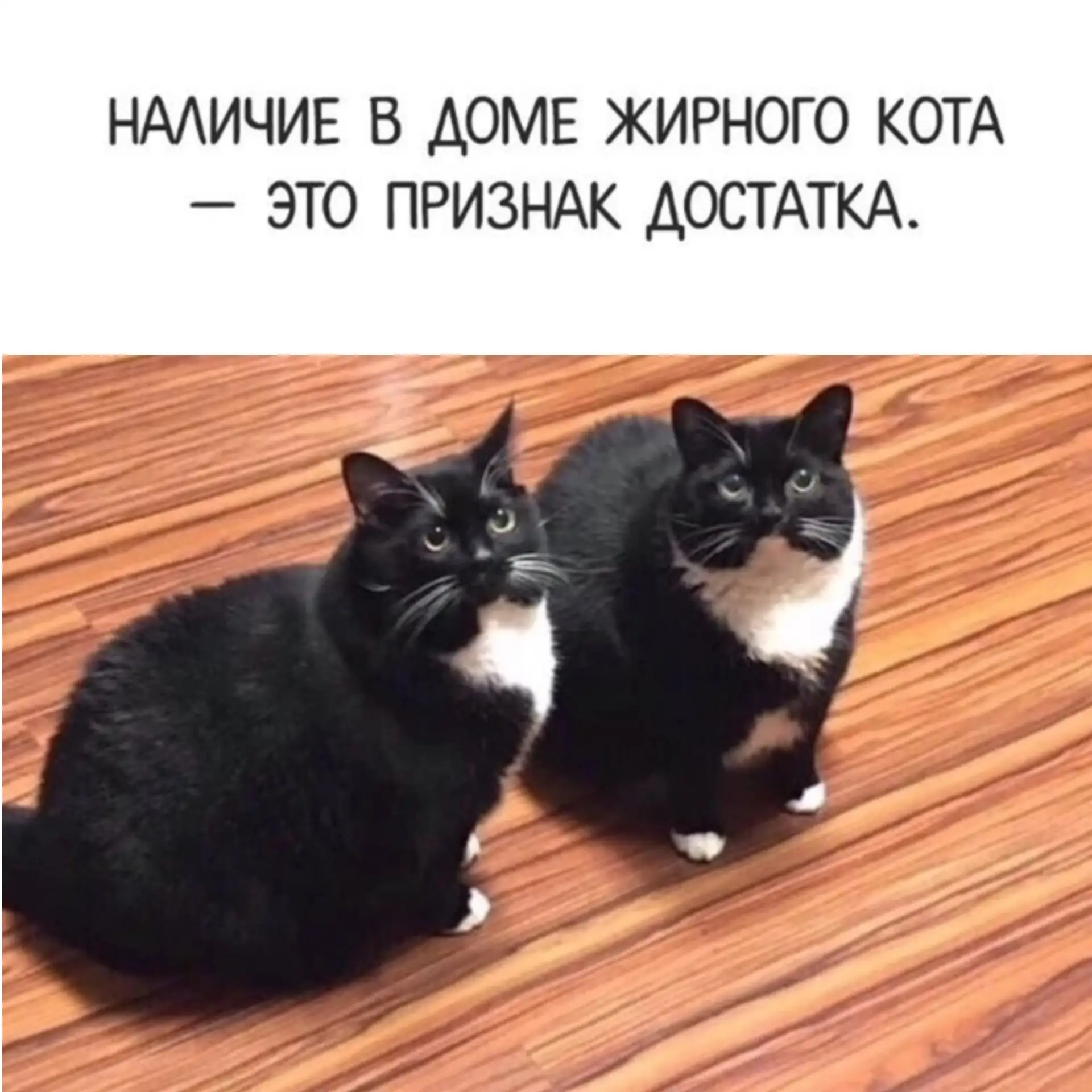 Немного юмора 😉