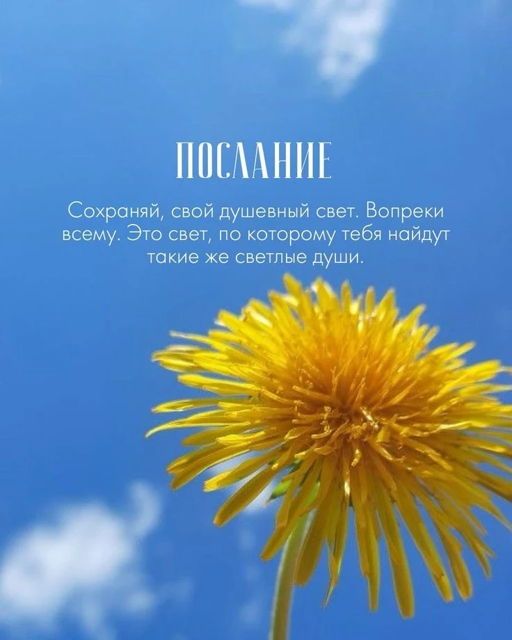💛💛💛