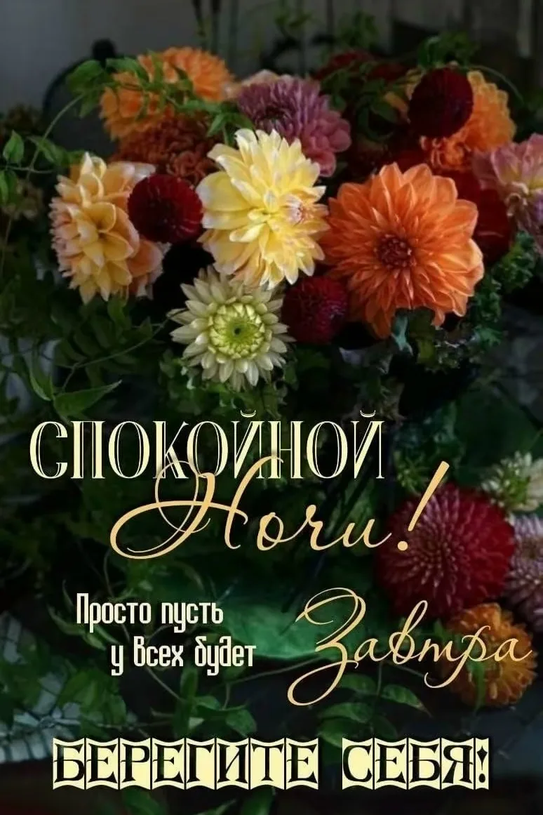 Доброй ночи, чарующих снов! И пусть у всех будет завтра!