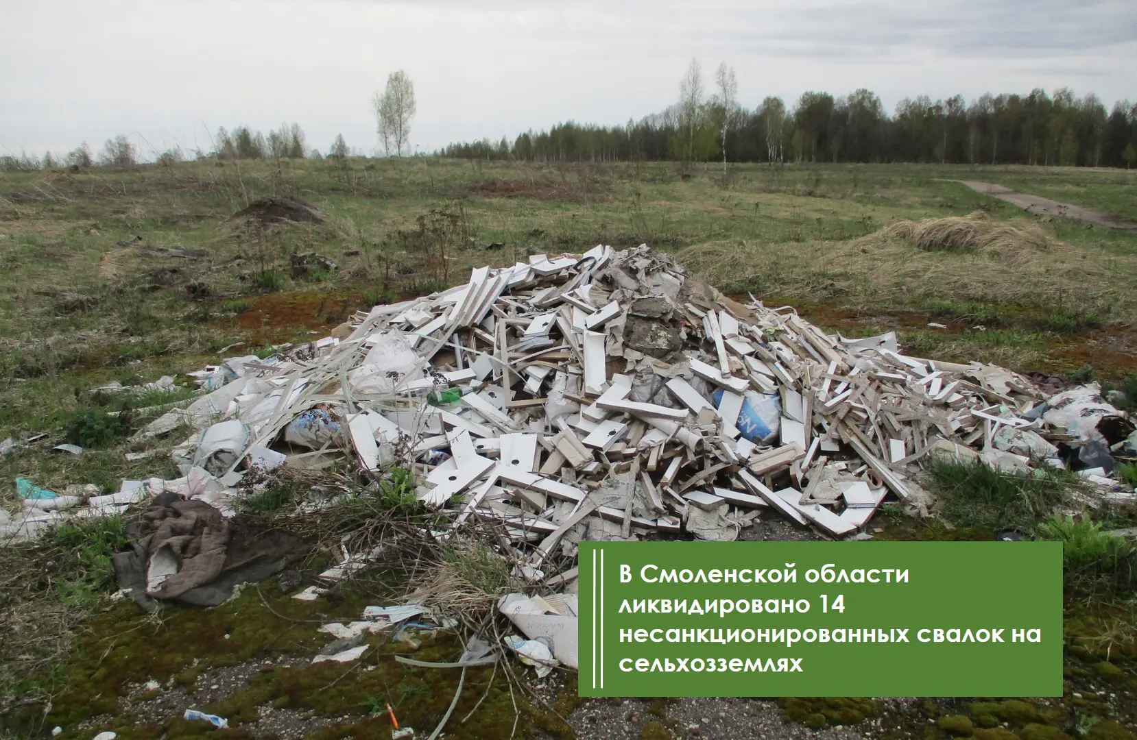 🔖 В период с 1 января по 17 августа текущего году Управлением Россельхознадзора по Бря...