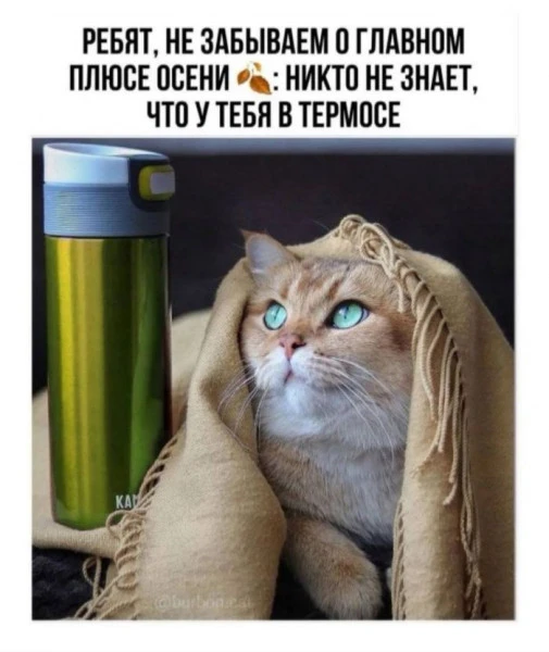 Шла только что мимо каферика у нас тут на работе и услышала характерный звук откупорива...