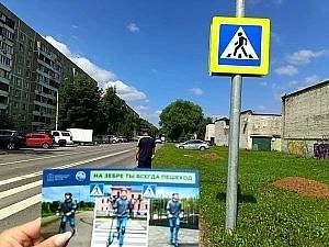 В Домодедово Госавтоинспекция усилит контроль на пешеходных переходах: с 7 по 20 сентяб...