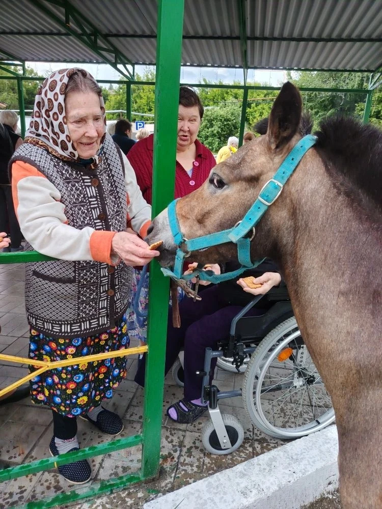 Знаете, что такое "живое лекарство" 🌿💊, которое не купишь в аптеке, но которое способно исцелять д