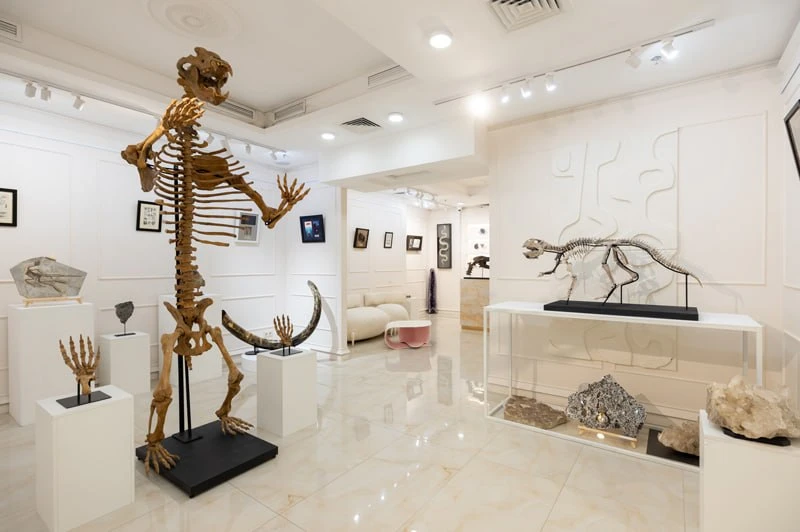 Тридцать лет назад Sotheby's впервые выставил на торги скелет динозавра — тираннозавра ...