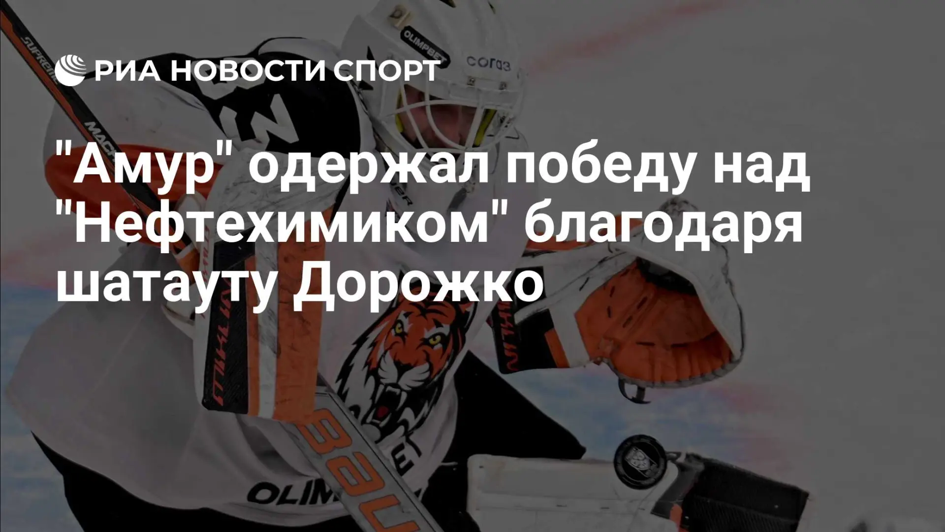 «Амур» в Хабаровске обыграл «Нефтехимик» 1:0: единственную шайбу забросил Кирилл Пилипе...